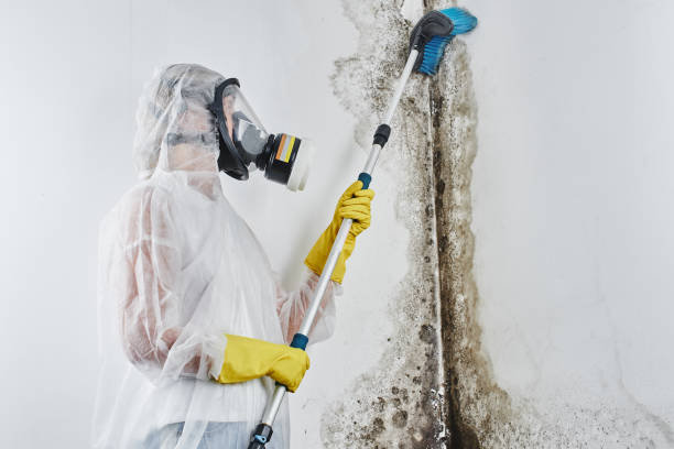 Water Damage Restoration in Conway, SC